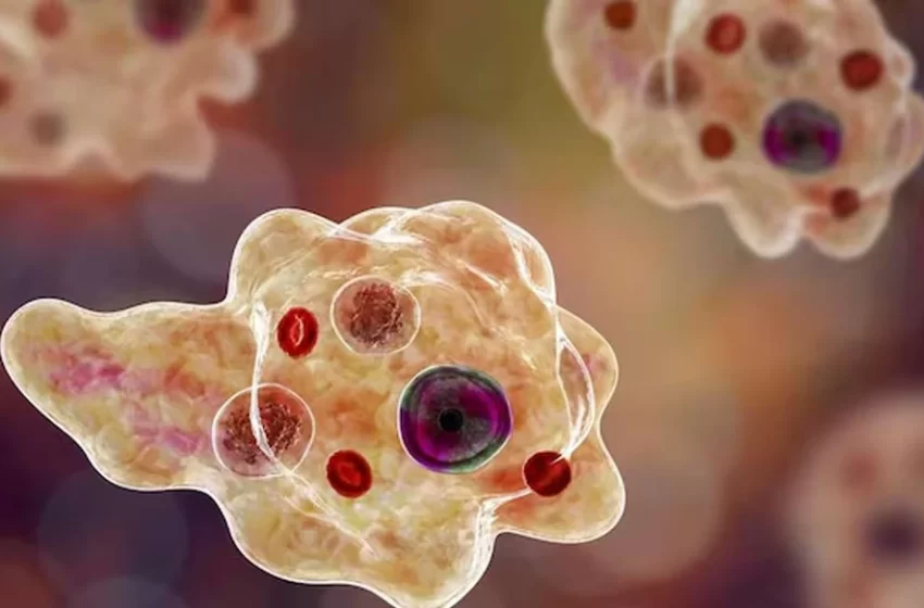  തിരുവനന്തപുരത്ത് ഒരാള്‍ക്ക് കൂടി അമീബിക് മസ്തിഷ്‌ക ജ്വരം സ്ഥിരീകരിച്ചു