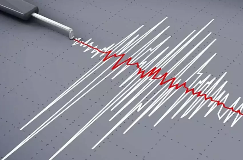  വയനാടിനും കോഴിക്കോടിനും പിന്നാലെ പാലക്കാടും പ്രകമ്പനം; സാധനങ്ങൾ കുലുങ്ങിയെന്ന് പ്രദേശവാസികൾ