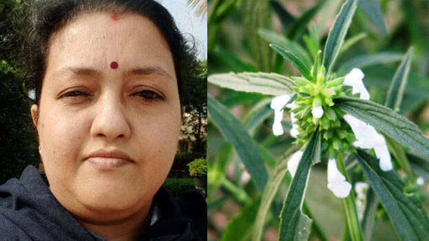  ചേർത്തലയിലെ വീട്ടമ്മയുടെ മരണത്തിന് കാരണം തുമ്പച്ചെടിയല്ല; വെളിപ്പെടുത്തലുമായി പൊലീസ്