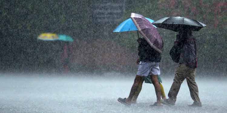  സംസ്ഥാനത്ത് അതി ശക്തമായ മഴ തുടരുമെന്ന് കേന്ദ്ര കാലാവസ്ഥ വകുപ്പിന്റെ മുന്നറിയിപ്പ്; 9 ജില്ലകളില്‍ യെല്ലോ അലര്‍ട്ട്
