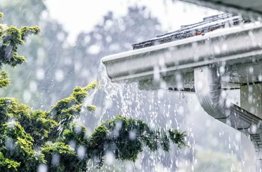  സംസ്ഥാനത്ത് ഇന്നും കനത്ത മഴയ്ക്ക് സാദ്ധ്യത; തെക്കൻ, മദ്ധ്യ കേരളത്തിൽ കൂടുതൽ മഴ ലഭിച്ചേക്കും