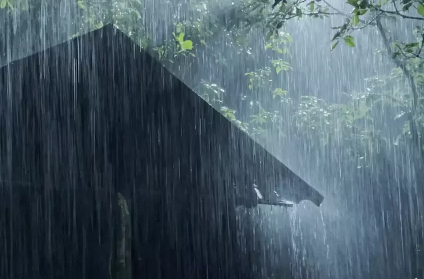  സംസ്ഥാനത്ത് ഇന്നും വ്യാപക മഴയ്ക്കു സാധ്യത; കണ്ണൂർ, കാസർഗോഡ് ജില്ലകളിൽ മഞ്ഞ അലർട്ട്