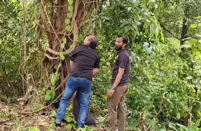  കണ്ണൂർ നഗരത്തിനടുത്തെ പുഴാതിഹൗസിങ് കോളനിയിലെ കാടുപിടിച്ച സ്ഥലത്ത് നിന്ന്  പെരുമ്പാമ്പിനെ പിടികൂടി