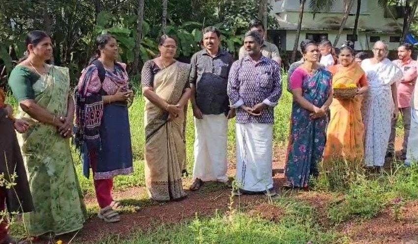  ഓണത്തിന് ഒരു കൊട്ട പൂവ് പദ്ധതിയുടെ ഭാഗമായി ചെണ്ടുമല്ലിയുടെ വിളപ്പെടുപ്പ് നടന്നു