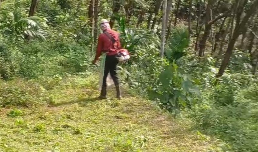  സി.പി.ഐ എം  കുട്ടാവ്  ബ്രാഞ്ച് സമ്മേളനത്തിൻ്റെ  ഭാഗമായി ഇരിക്കൂർ പഞ്ചായത്ത് പൊതു ശ്മാശാനവും കുട്ടാവ് പാറക്കടവ്  റോഡും  ശുചീകരിച്ചു
