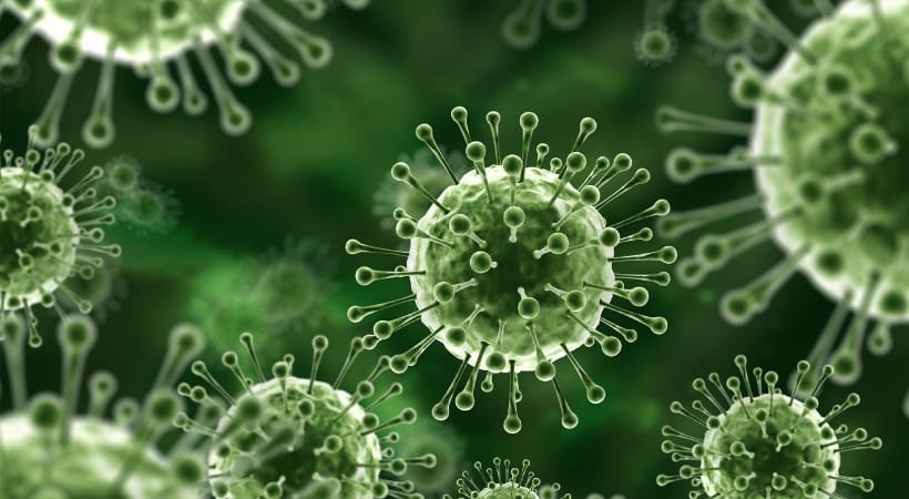  സംസ്ഥാനത്തെ നിപ രോഗ ബാധയുടെ പശ്ചാത്തലത്തിൽ വീണ്ടും കേന്ദ്ര സംഘമെത്തും