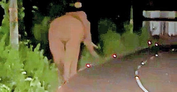  അയ്യപ്പൻകാവ് – ചാക്കാട് റോഡിൽ രാത്രി വീണ്ടും കാട്ടാനയിറങ്ങി