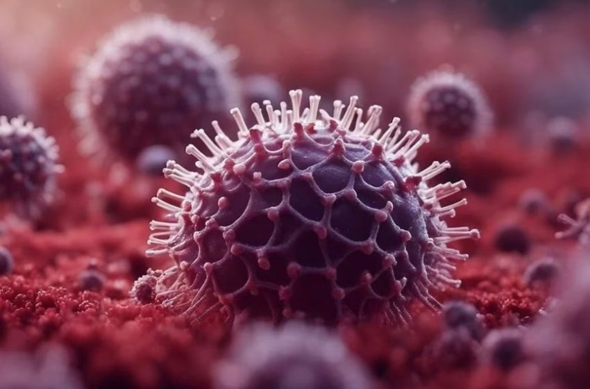  മലപ്പുറത്ത് നിപ മരണം സ്ഥിരീകരിച്ചതിനെ തുടര്‍ന്ന് കൂടുതല്‍ നിയന്ത്രണങ്ങള്‍