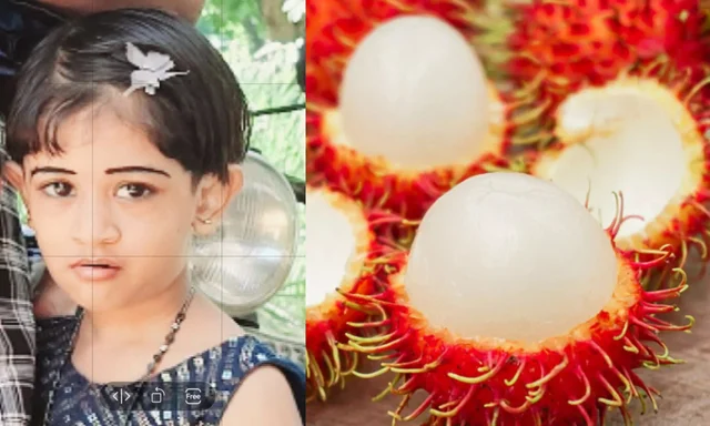  റമ്പൂട്ടാൻ കുരു തൊണ്ടയിൽ കുരുങ്ങി ആറ് വയസുകാരിക്ക് ദാരുണാന്ത്യം