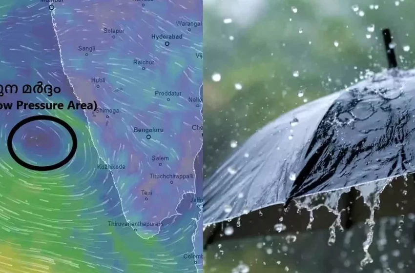  സംസ്ഥാനത്ത് ഇന്നും വ്യാപക മഴക്ക് സാധ്യത; ഇന്ന് ഏഴ് ജില്ലകളില്‍ യെല്ലോ അലർട്ട്
