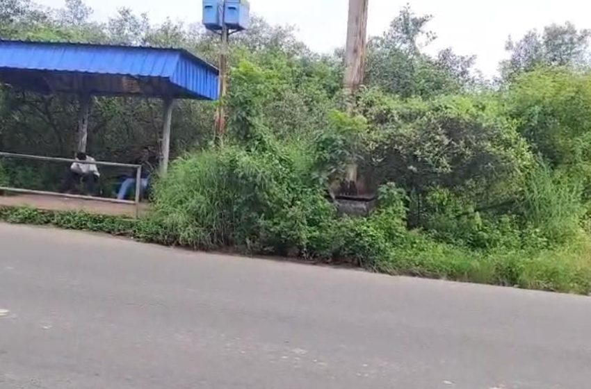  കാടുകളും മാലിന്യവും നിറഞ്ഞ് പാപ്പിനിശ്ശേരി കെ.എസ്. ടി.പി റോഡരികിലെ ബസ് കാത്തിരിപ്പ് കേന്ദ്രം