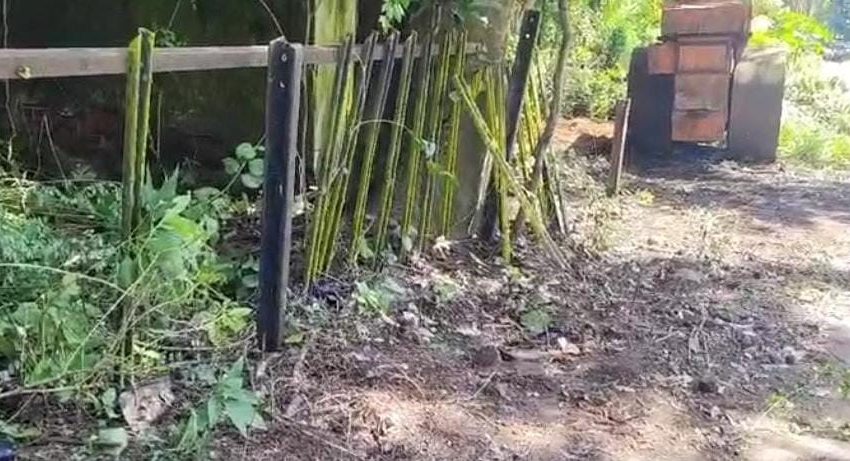  പാപ്പിനിശ്ശേരി റെയിൽവേ  സ്റ്റേഷന്റെ ആളൊഴിഞ്ഞ സ്ഥലങ്ങളിൽ മാലിന്യം തള്ളിയത് നീക്കം ചെയ്തു