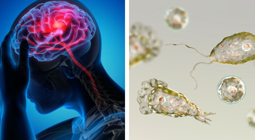  സംസ്ഥാനത്ത് വീണ്ടും അമീബിക് മസ്തിഷ്‌ക ജ്വരം; കൊല്ലത്ത് 10 വയസുകാരന് രോഗം സ്ഥിരീകരിച്ചു