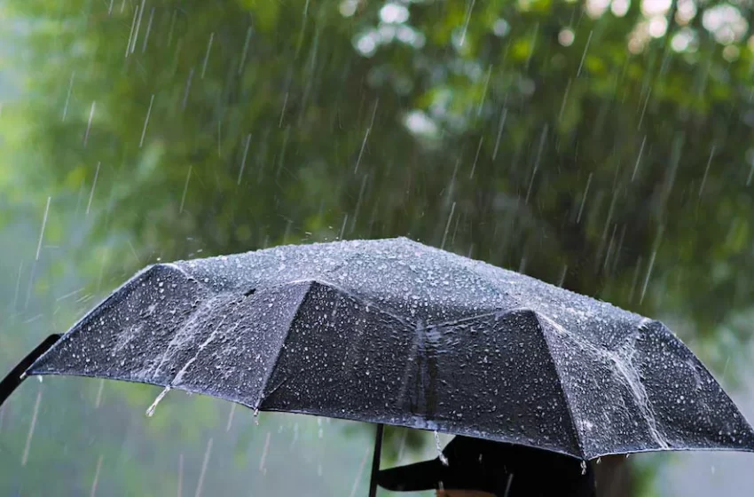  സംസ്ഥാനത്ത് വരും ദിവസങ്ങളിലും മഴയ്ക്ക് സാധ്യത; ഇന്ന് നാല് ജില്ലകളിൽ യെല്ലോ അലേർട്ട്