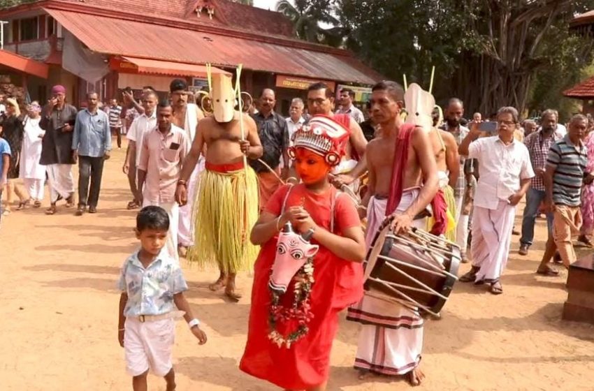  തുലാം പതിനാറിന് ചെറുകുന്ന് അന്ന പൂർണ്ണേശ്വരി ക്ഷേത്രത്തിൽ  കെട്ടിയാടി കോതാമൂരി തെയ്യം