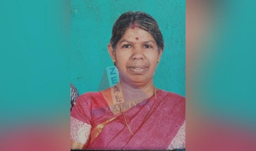  പപ്പായ പറിക്കുന്നതിനിടെ വീടിൻ്റെ ടെറസിന്റെ മുകളിൽ നിന്നും വീണ് ഗൃഹനാഥ മരിച്ചു