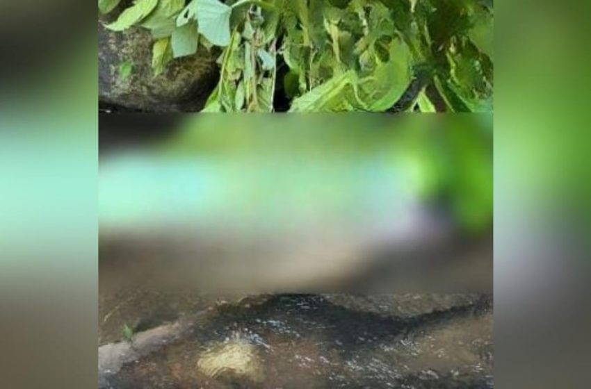  കൊട്ടിയൂർ നെല്ലിയോടിയിൽ മധ്യവയസ്ക‌ൻ തോട്ടിൽ മരിച്ച നിലയിൽ