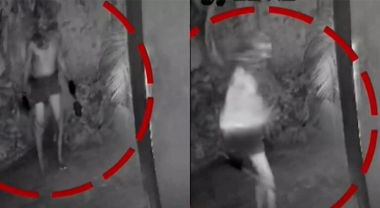  എറണാകുളം വടക്കന്‍ പറവൂരില്‍ കുറുവ സംഘം എത്തിയതായി സംശയം; അന്വേഷണം ആരംഭിച്ച് പൊലീസ്