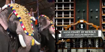  ആന എഴുന്നെള്ളിപ്പുമായി ബന്ധപ്പെട്ട് ഹൈക്കോടതി പുറപ്പെടുവിച്ച വിധി പൂർണ്ണമായും പാലിക്കുമെന്ന് കൊച്ചിൻ ദേവസ്വം ബോർഡ്
