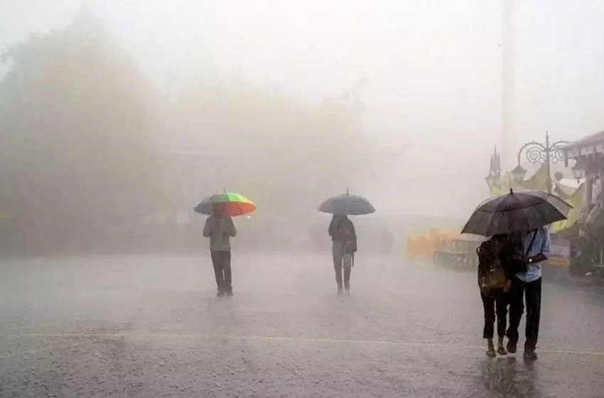  സംസ്ഥാനത്ത്  കനത്ത മഴയിൽ വിവിധയിടങ്ങളിൽ നാശനഷ്ടം