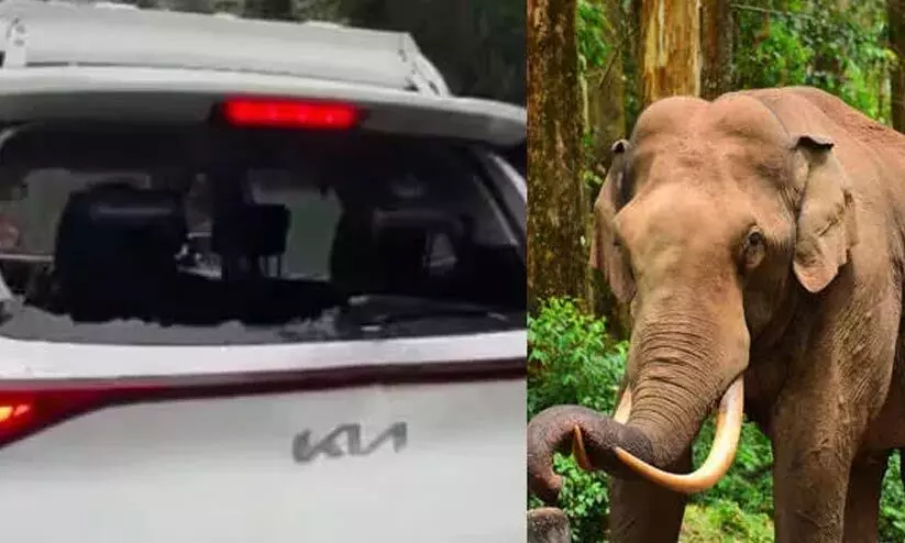  മൂന്നാറിൽ സീരിയൽ ഷൂട്ടിങ് വാഹനത്തിന് നേരെ കാട്ടാന പടയപ്പയുടെ ആക്രമണം