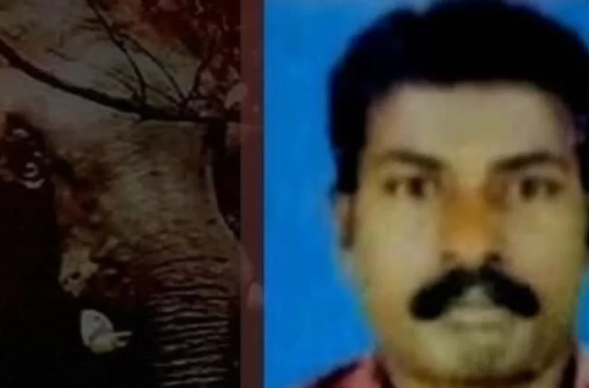  കുട്ടമ്പുഴയില്‍ കാട്ടാന ആക്രമണത്തില്‍ യുവാവിന് ദാരുണാന്ത്യം; ക്ണാച്ചേരി സ്വദേശി എല്‍ദോസാണ് കൊല്ലപ്പെട്ടത്