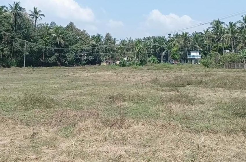 മയ്യിൽ ഗ്രാമപഞ്ചായത്ത് കൊട്ടപ്പൊയിൽ വർഷത്തിൽ 9 മാസവും വിളവെടുത്തിരുന്ന വയൽ ഇന്ന് തരിശു ഭൂമിയാണ്