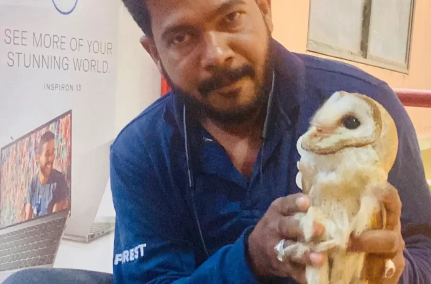  ഇരിട്ടി പുതിയ ബസ് സ്‌റ്റാൻഡിനു സമീപം വ്യാപാര സ്‌ഥാപനത്തിൽ നിന്നും വെള്ളിമൂങ്ങയെ വനം വകുപ്പ് പിടികൂടി