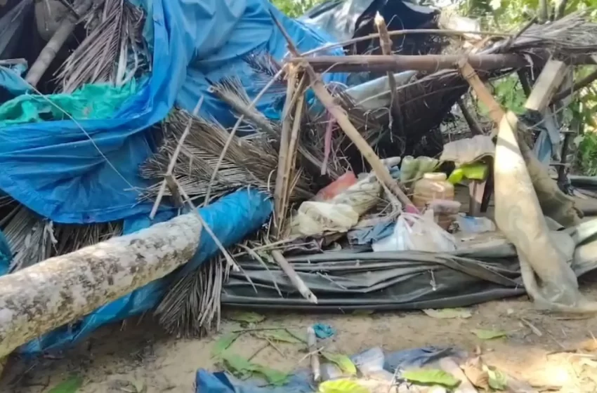  ആറളം ഫാം പുനരധിവാസ മേഖലയിൽ കാട്ടാനകളുടെ അക്രമ പരമ്പര തുടരുന്നു