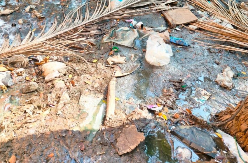  പാലക്കോട് ടൗണിൽ പ്രവർത്തിച്ചു വരുന്ന അഞ്ച്  സ്ഥാപനങ്ങൾക്ക് ആകെ 45000 രൂപ പിഴ ചുമത്തി
