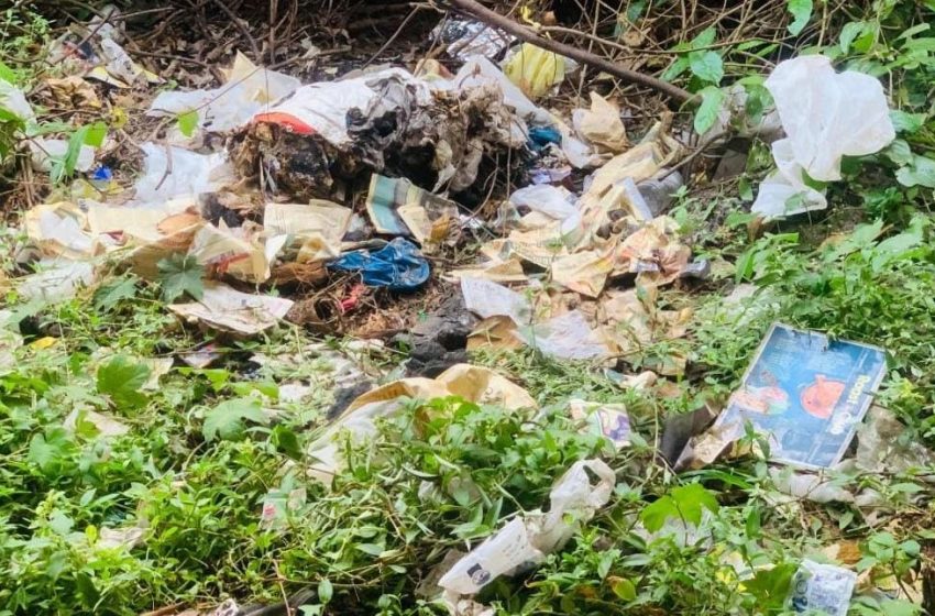 പൈതൽമല കേന്ദ്രീകരിച്ചു നടത്തിയ പരിശോധനയിൽ മാലിന്യങ്ങൾ വലിച്ചെറിഞ്ഞതിനു രൂപ പിഴ ചുമത്തി