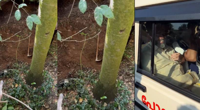  കാസർഗോഡ് കുമ്പള ആരിക്കാടി കോട്ടയിൽ നിധി കുഴിച്ചെടുക്കാൻ ശ്രമം; 5 പേർ പിടിയിൽ