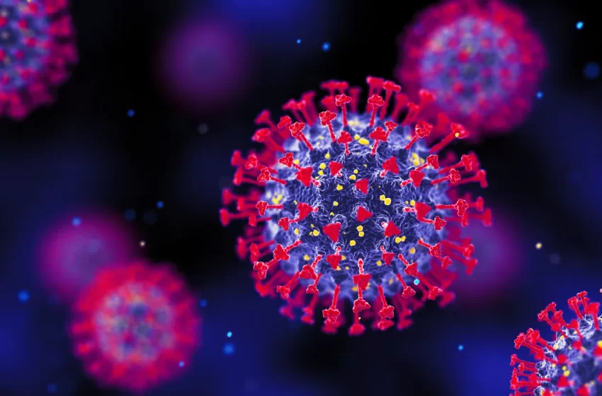  രാജ്യത്ത് ഏറ്റവും കൂടുതല്‍ കൊവിഡ് മരണം സംഭവിച്ചത് കേരളത്തിലാണെന്ന് കേന്ദ്രസര്‍ക്കാരിന്റെ കണക്ക്