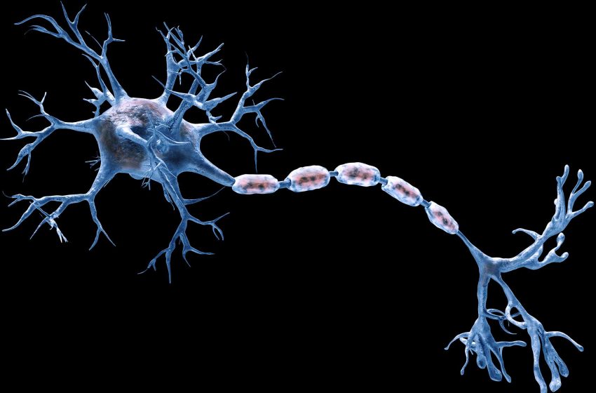  മഹാരാഷ്ട്രയിലെ പുണെയില്‍ ഗില്ലന്‍ ബാരി സിന്‍ഡ്രോം പടരുന്നതായി ആശങ്ക