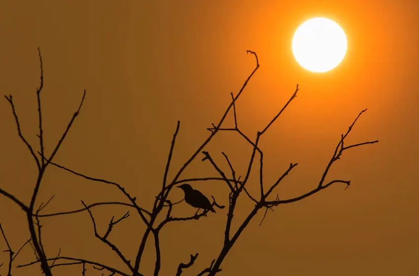  സംസ്ഥാനത്ത് ഇന്ന് ഒറ്റപ്പെട്ടയിടങ്ങളില്‍ രണ്ടു ഡിഗ്രി മുതല്‍ മൂന്ന് ഡിഗ്രി സെല്‍ഷ്യസ് വരെ താപനില ഉയരാന്‍ സാധ്യത