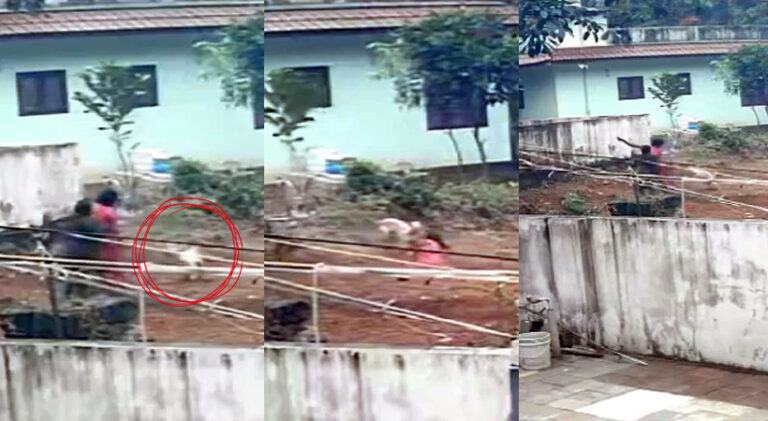  ആലപ്പുഴ വലിക്കുന്നത്ത് തെരുവ് നായയുടെ ആക്രമണം; അഞ്ചുപേർക്ക് കടിയേറ്റു