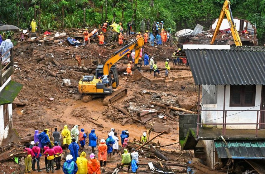  മുണ്ടക്കൈ ചൂരൽമല പുനരധിവാസം; രണ്ടാംഘട്ട കരട് പട്ടിക തയ്യാറായി, 81 കുടുംബങ്ങൾ പട്ടികയിൽ