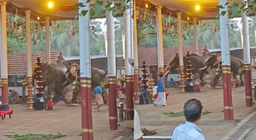  കൊയിലാണ്ടിയിൽ ക്ഷേത്രോത്സവത്തിനിടെ ആന ഇടഞ്ഞു സംഭവം; മരണം മൂന്ന്, ഏഴ് പേർ ​ഗുരുതരാവസ്ഥയിൽ