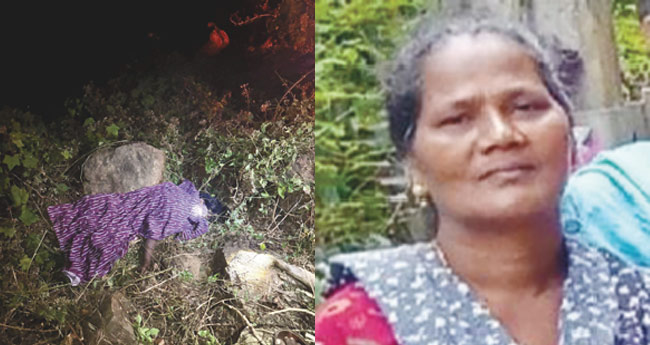  ഇടുക്കി പെരുവന്താനത്ത് വീട്ടമ്മയെ കാട്ടാന ചവിട്ടിക്കൊന്നു; ജ​ന​ങ്ങ​ൾ ക​ടു​ത്ത പ്ര​തി​ഷേ​ധ​ത്തി​ൽ