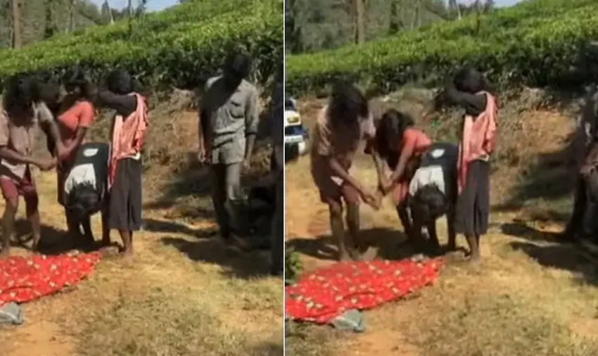  സംസ്ഥാനത്ത് വീണ്ടും കാട്ടാന ആക്രമണം;  വയനാട് അട്ടമല സ്വദേശി കൊല്ലപ്പെട്ടു