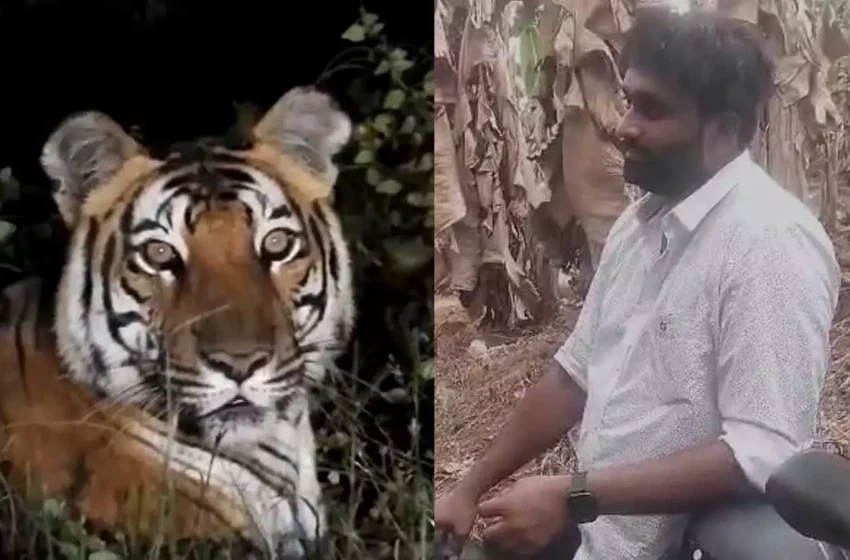  മലപ്പുറം കരുവാരക്കുണ്ടിൽ കടുവയെ കണ്ടെന്ന് വ്യാജ പ്രചാരണം നടത്തിയ യുവാവ് അറസ്റ്റിൽ