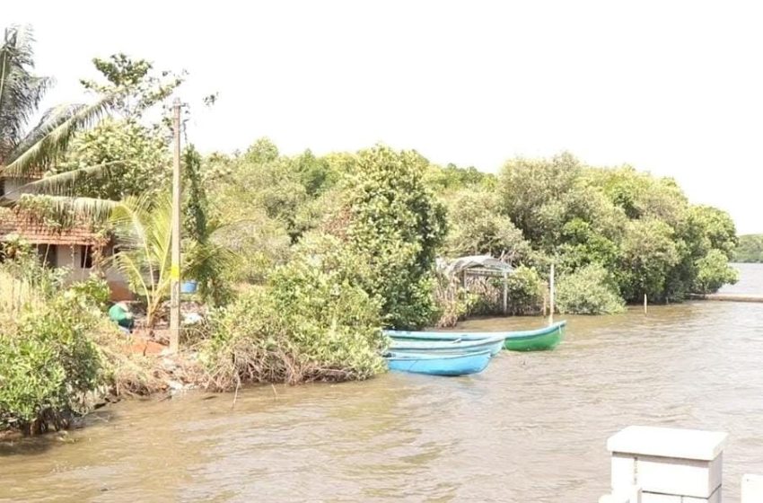  പട്ടുവം ചെറുകുന്ന് കാവിൻ മുനമ്പ് പാലം നിർമ്മാണം പ്രഖ്യാപനത്തിൽ ഒതുങ്ങി