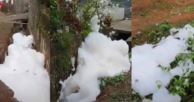  തൃശ്ശൂരില്‍ ഫോം റെയിന്‍ എന്ന പതമഴ പെയ്തു; ആശങ്കപ്പെടേണ്ടെന്ന് വിദഗ്ധര്‍