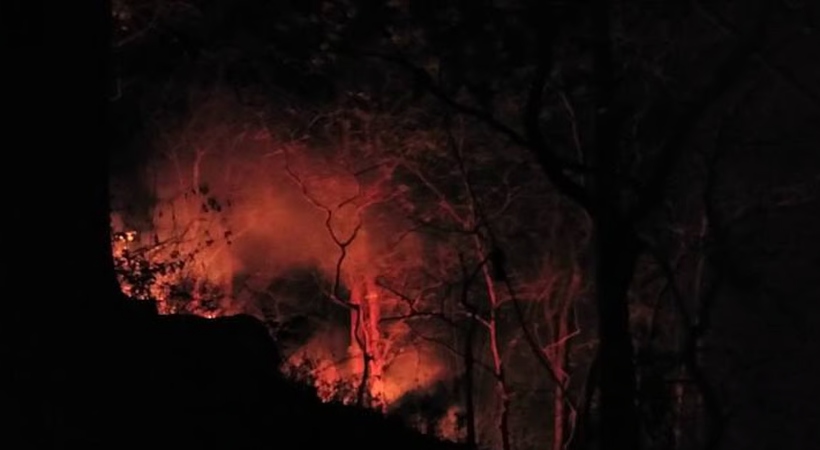  ഇടുക്കി കട്ടപ്പന വാഴവരയില്‍ കാട്ടുതീ കെടുത്താന്‍ ശ്രമിച്ച യുവാവിന് ദാരുണാന്ത്യം