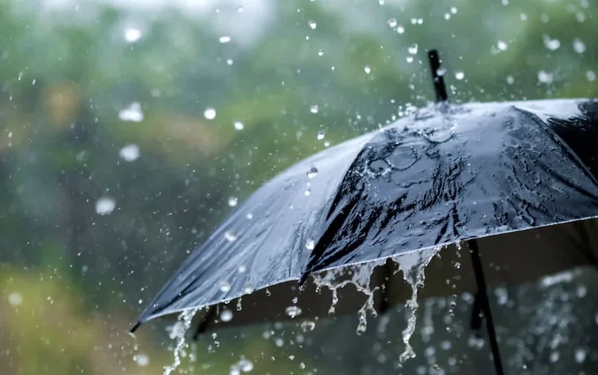  സംസ്ഥാനത്ത് ഇന്നും പരക്കെ മഴയ്ക്ക് സാധ്യത; എട്ട് ജില്ലകളില്‍ ഇന്ന് യെല്ലോ അലർട്ട് പ്രഖ്യാപിച്ചു