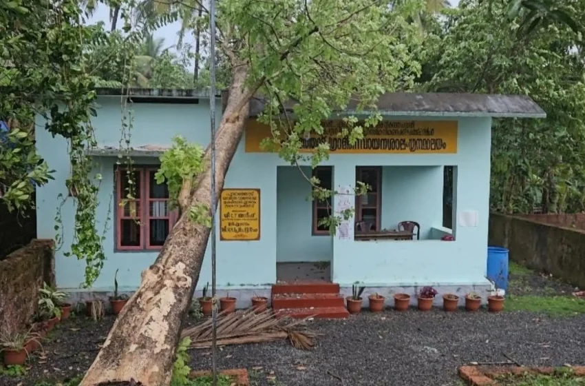  കനത്ത മഴയും കാറ്റും മരങ്ങൾ പൊട്ടിവീണ് കേളകം വൈദ്യുതി സെക്ഷൻ പരിധിയിൽ ലൈനുകൾ വ്യാപകമായി തകർന്നു