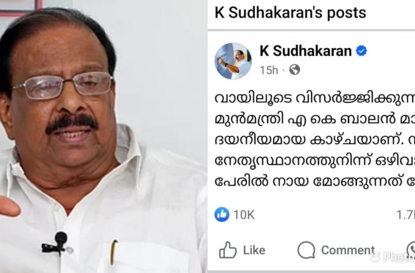  എ.കെ ബാലന്‍ നടത്തുന്ന ശ്രമങ്ങള്‍ തന്റെ ചെലവില്‍ വേണ്ടെന്ന് കെപിസിസി പ്രസിഡന്റ് കെ. സുധാകരന്‍ എംപി