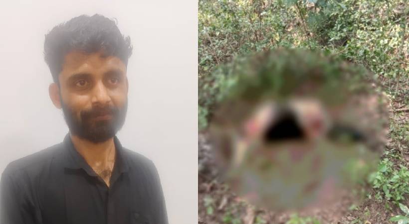  മണ്ണാർക്കാട് പശുവിനെ മോഷ്ടിച്ച് കയ്യും കാലും മുറിച്ചെടുത്ത കേസിൽ പ്രതി പിടിയിൽ