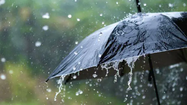  സംസ്ഥാനത്ത് 4 വരെ ശക്തമായ വേനൽ മഴ  ലഭിച്ചേക്കും; വിവിധ ജില്ലകളിൽ മിന്നലോടുകൂടിയ മഴയ്ക്കു സാധ്യത
