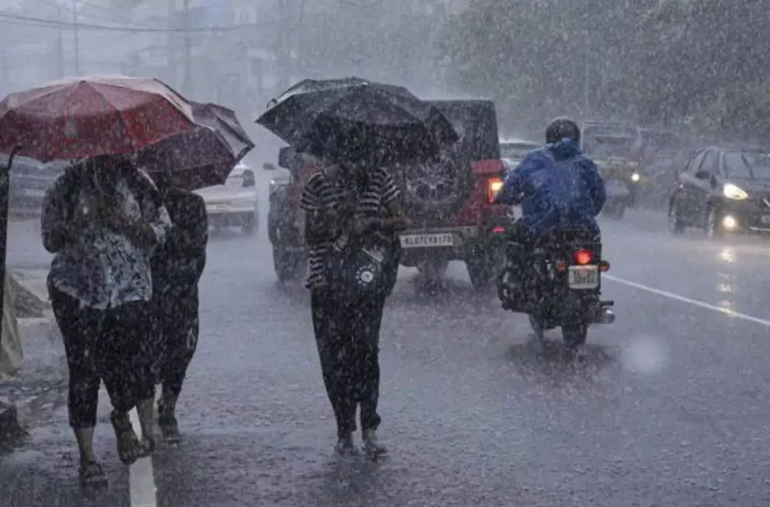  കേരളത്തിൽ റെഡ് അലേർട്ട് പ്രഖ്യാപിച്ച ജില്ലകളിൽ അടുത്ത 24 മണിക്കൂറിൽ 204.4 മി.മീറ്റർ മഴ ലഭിച്ചേക്കും